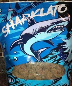 Sharklato Strain