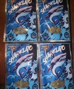 Sharklato Strain